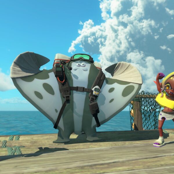 Splatoon Raiders
